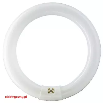 elektryczny.pl._swietlowka_g10q_kolowa_22W_Philips.jpg