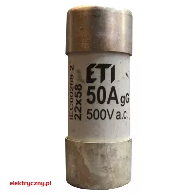 elektryczny.pl_CH_22x58_50A.jpg