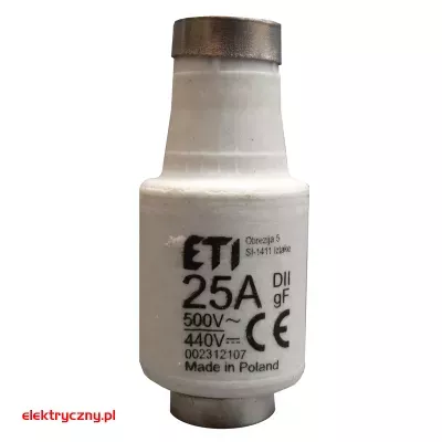 elektryczny.pl_DII_25A.jpg