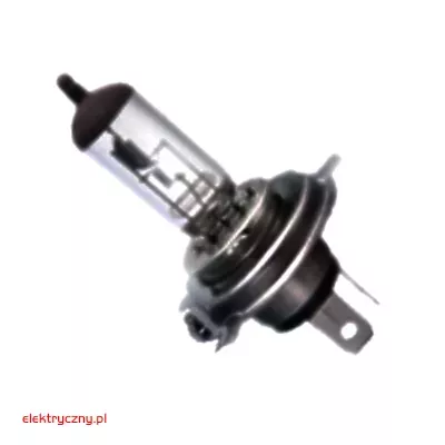elektryczny.pl_zarowka_REFLEKTOROWA-SAMOCHODOWA-H1-24V-70W-P14,5s-WOJ71102-CARLAMP.jpg